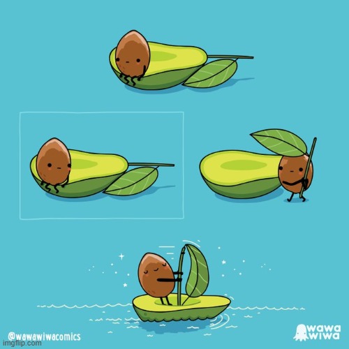 image tagged in avocado,pit,boat,ocean,sailing,adventure | made w/ Imgflip meme maker