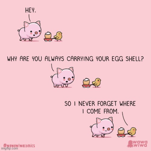 image tagged in pig,chick,egg,shell,carrying,wagon | made w/ Imgflip meme maker