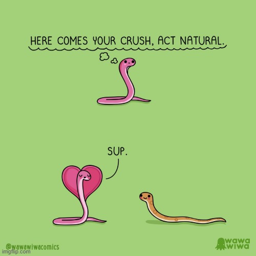 image tagged in snakes,crush,act,natural,heart,adorable | made w/ Imgflip meme maker