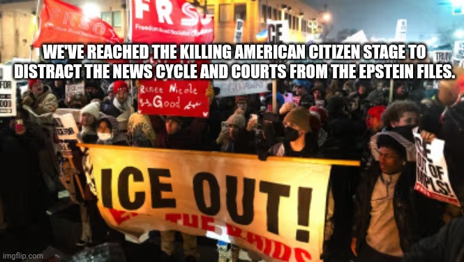 ICE is pro-pedophiles | WE'VE REACHED THE KILLING AMERICAN CITIZEN STAGE TO DISTRACT THE NEWS CYCLE AND COURTS FROM THE EPSTEIN FILES. | image tagged in ice minnesota israel,jeffrey epstein,ice agents,epstein files,donald trump | made w/ Imgflip meme maker