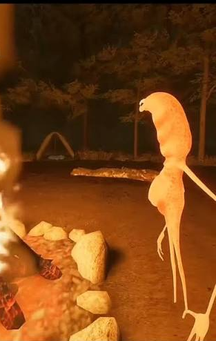 I don't like this rock Blank Meme Template