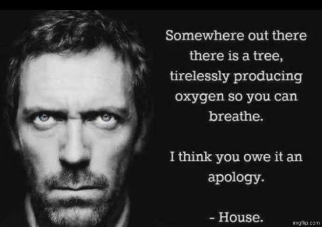 somewhere out there is a tree Blank Meme Template