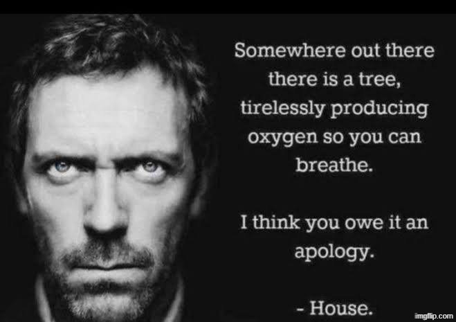 somewhere out there is a tree | image tagged in somewhere out there is a tree | made w/ Imgflip meme maker