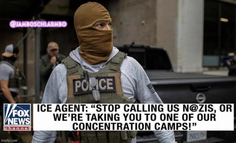 I mean...it's true, ICE is against 1st,2nd,3rd,4th,5thANY AMENDMENT's rights | image tagged in so i got that goin for me which is nice,actual advice mallard,ice | made w/ Imgflip meme maker