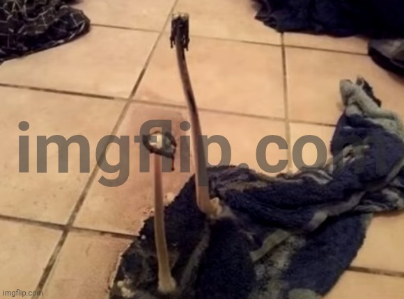 imagine these on a pizza | made w/ Imgflip meme maker