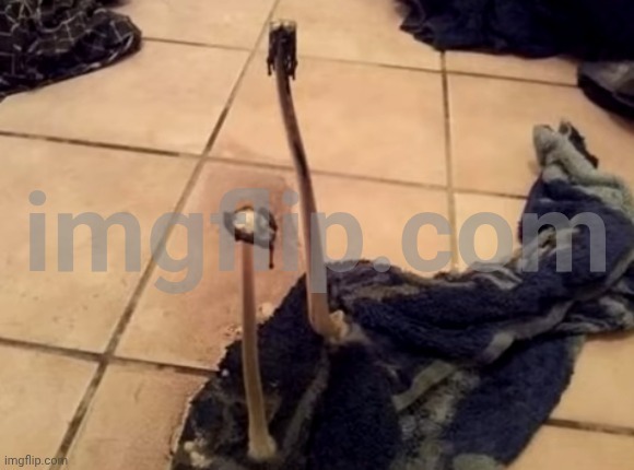 imagine these on a pizza | made w/ Imgflip meme maker