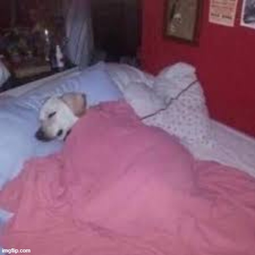 image tagged in a mimir | made w/ Imgflip meme maker