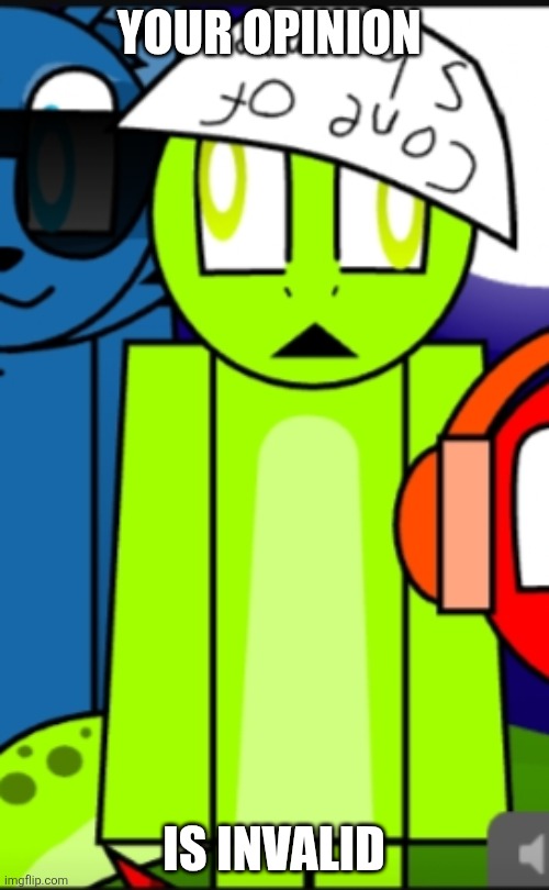 Perin | YOUR OPINION IS INVALID | image tagged in perin | made w/ Imgflip meme maker