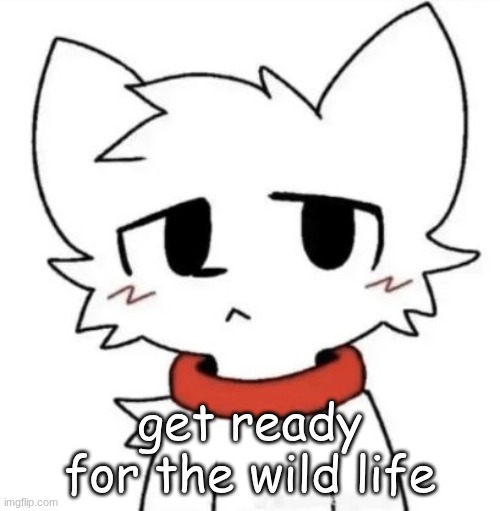 gangster shit | get ready for the wild life | image tagged in gangster shit | made w/ Imgflip meme maker