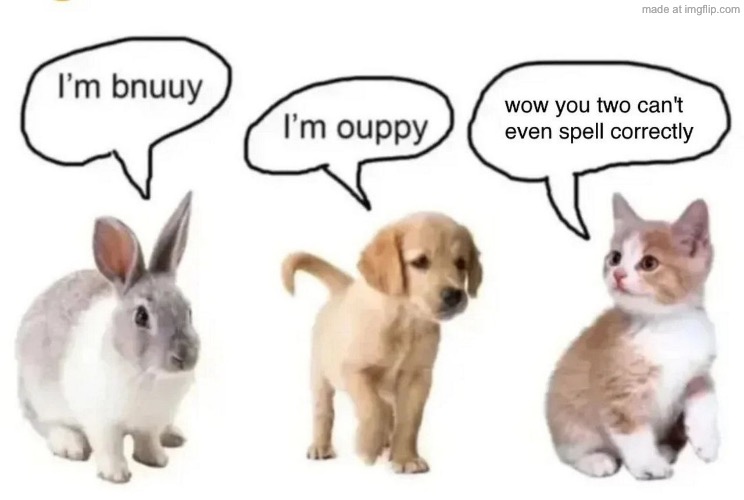image tagged in bnnuy,ouppy,cat | made w/ Imgflip meme maker