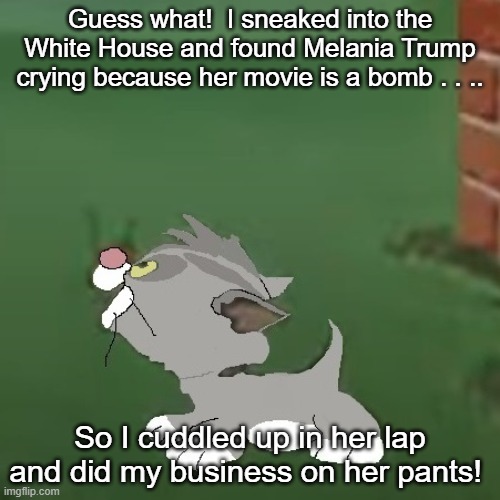 Cartoon kitten Melania Trump | Guess what!  I sneaked into the White House and found Melania Trump crying because her movie is a bomb . . .. So I cuddled up in her lap and did my business on her pants! | image tagged in cartoon kitten,memes,melania trump,mess | made w/ Imgflip meme maker