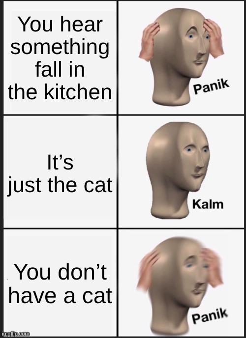 Panik Kalm Panik Meme | You hear something fall in the kitchen; It’s just the cat; You don’t have a cat | image tagged in memes,panik kalm panik | made w/ Imgflip meme maker