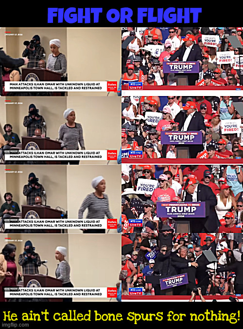 Fight or Flight | FIGHT OR FLIGHT; He ain't called bone spurs for nothing! | image tagged in fight or flight,omar vs trump,he probable had it done to himself,when the times gets tough the trump gets going away | made w/ Imgflip meme maker