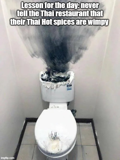 Thai Hot | Lesson for the day: never tell the Thai restaurant that their Thai Hot spices are wimpy | image tagged in steamer,toilet humor,bathroom,spicy | made w/ Imgflip meme maker