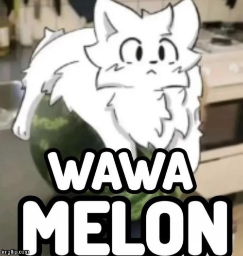 image tagged in the wawa melon | made w/ Imgflip meme maker