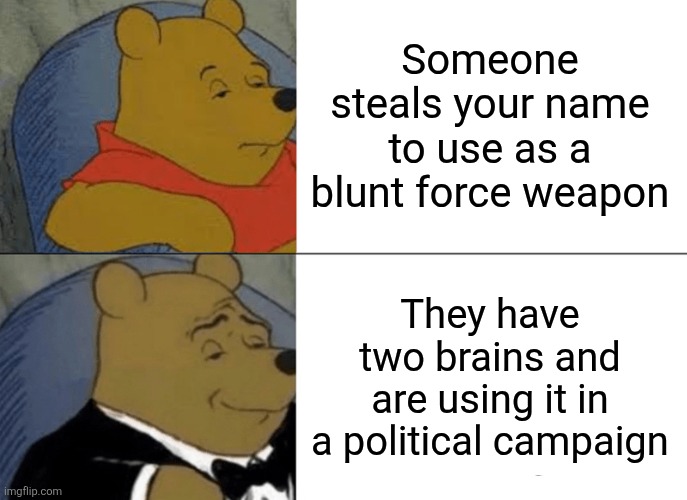 Tuxedo Winnie The Pooh Meme | Someone steals your name to use as a blunt force weapon; They have two brains and are using it in a political campaign | image tagged in memes,tuxedo winnie the pooh | made w/ Imgflip meme maker