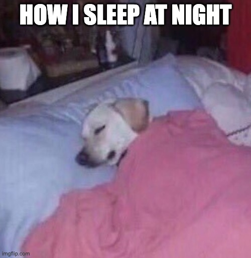 d | HOW I SLEEP AT NIGHT | image tagged in how i sleep at night | made w/ Imgflip meme maker
