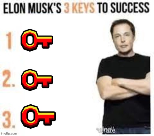 Elon musks three keys to success | image tagged in elon musks three keys to success | made w/ Imgflip meme maker