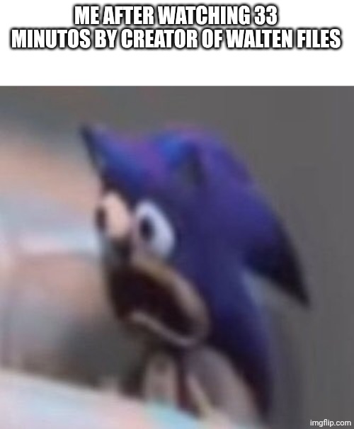 Traumatized sonic | ME AFTER WATCHING 33 MINUTOS BY CREATOR OF WALTEN FILES | image tagged in traumatised sonic,analog horror | made w/ Imgflip meme maker