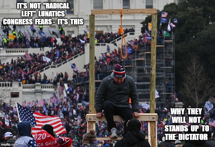 MAGA Values | IT'S  NOT  "RADICAL  LEFT"  LUNATICS  CONGRESS  FEARS -  IT'S  THIS; WHY  THEY  WILL  NOT  STANDS  UP  TO  THE  DICTATOR | image tagged in domestic violence | made w/ Imgflip meme maker