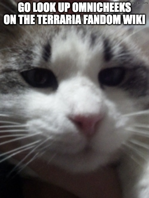 Sour Hart announcement template | GO LOOK UP OMNICHEEKS ON THE TERRARIA FANDOM WIKI | image tagged in sour hart announcement template | made w/ Imgflip meme maker