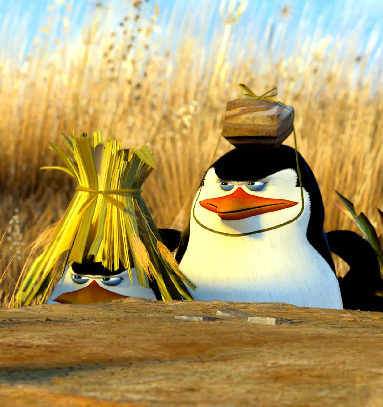 madagascar 2 Blank Meme Template