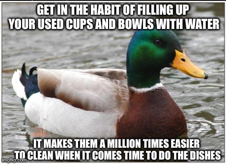 Actual Advice Mallard Meme | GET IN THE HABIT OF FILLING UP YOUR USED CUPS AND BOWLS WITH WATER IT MAKES THEM A MILLION TIMES EASIER TO CLEAN WHEN IT COMES TIME TO DO TH | image tagged in memes,actual advice mallard,AdviceAnimals | made w/ Imgflip meme maker