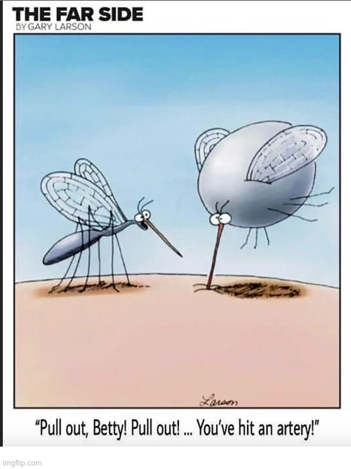 Too much of a good thing? | image tagged in the far side,comics,mosquitoes,too much,hit an artery,bloodsuckers | made w/ Imgflip meme maker
