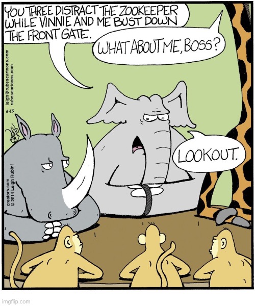 Rubes | image tagged in comics,rubes,zoo,animals,break out,escape plan | made w/ Imgflip meme maker