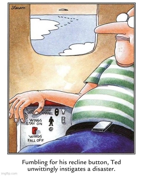 Oh, well… | image tagged in the far side,comics,airplane,passenger,buttons,accident | made w/ Imgflip meme maker