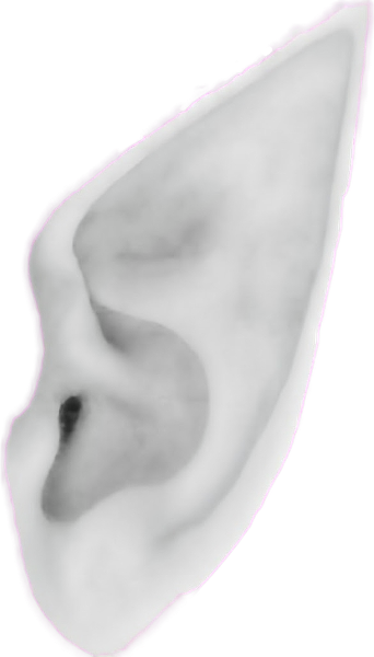 White Elf Ear Blank Meme Template