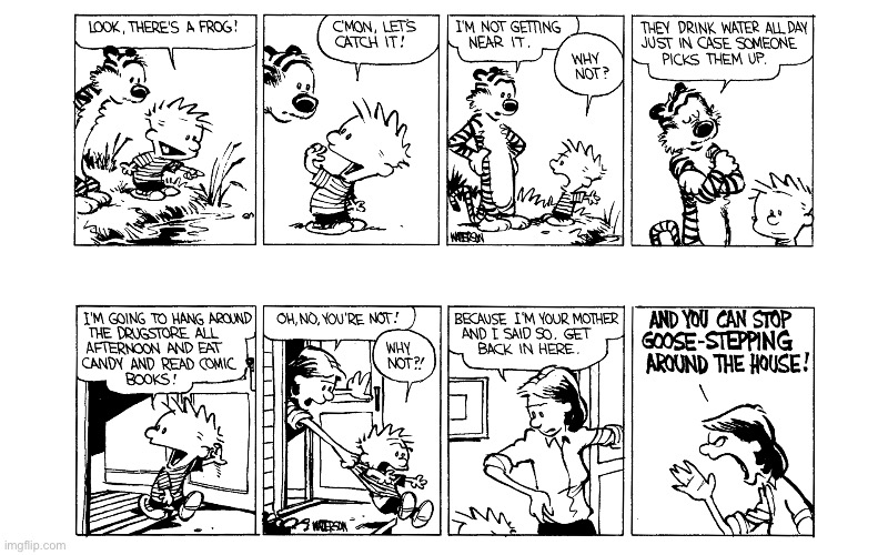 image tagged in calvin and hobbes,comics | made w/ Imgflip meme maker