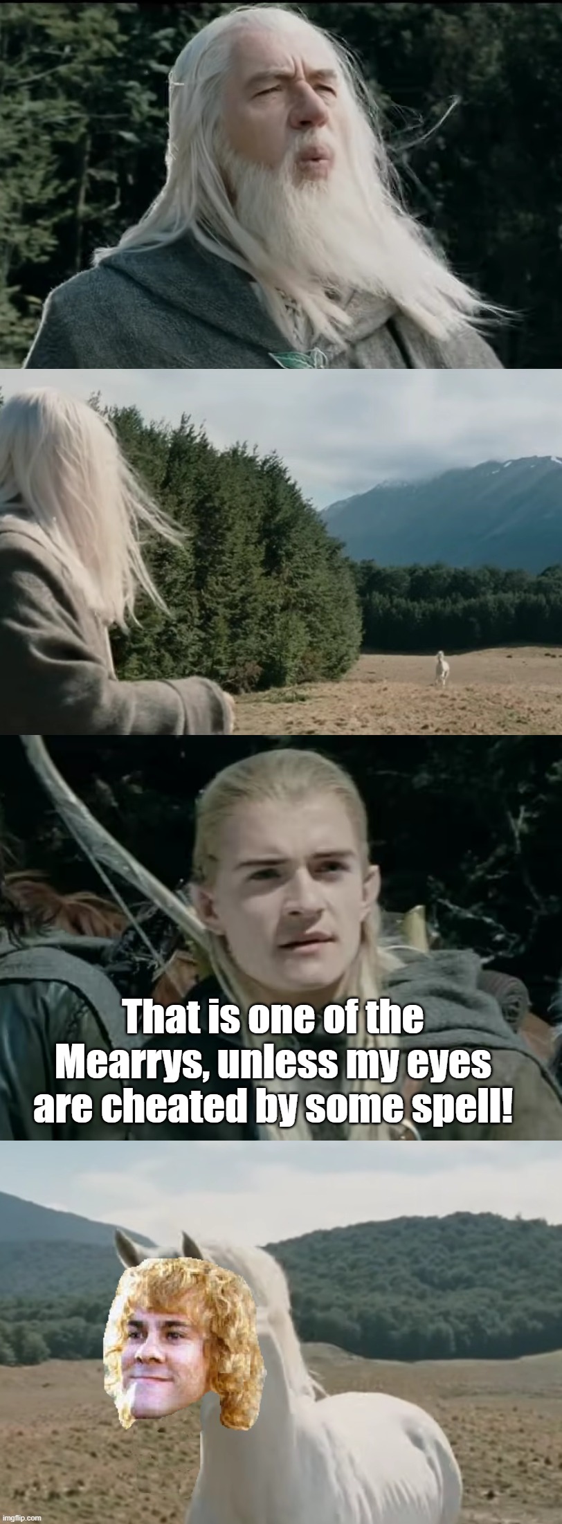 And he has been Pippin's friend through many dangers | That is one of the Mearrys, unless my eyes are cheated by some spell! | image tagged in lord of the rings,gandalf,legolas,horse,merry | made w/ Imgflip meme maker