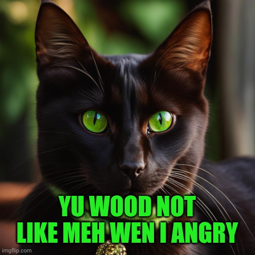 YU WOOD NOT LIKE MEH WEN I ANGRY | image tagged in green eyed cat | made w/ Imgflip meme maker