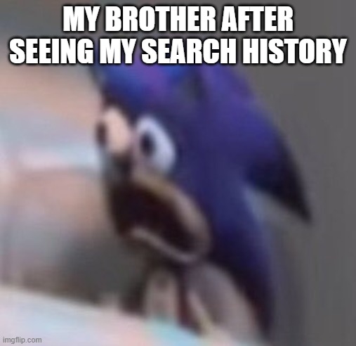 trust me its not a great place to be | MY BROTHER AFTER SEEING MY SEARCH HISTORY | image tagged in traumatised sonic,search history | made w/ Imgflip meme maker