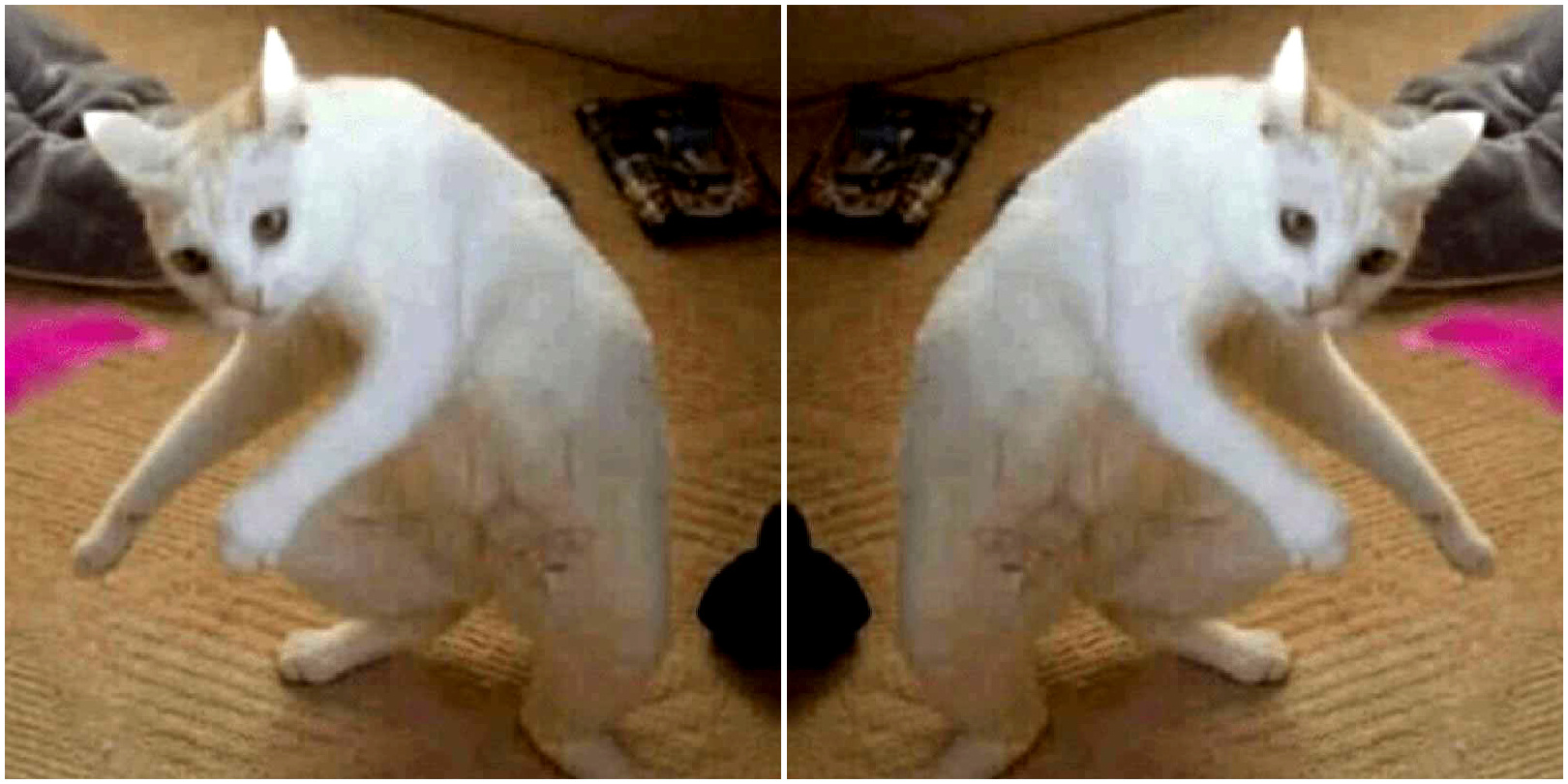 YES BUT NO Blank Meme Template