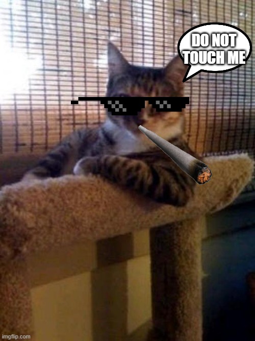 The Most Interesting Cat In The World Meme | DO NOT TOUCH ME | image tagged in memes,the most interesting cat in the world | made w/ Imgflip meme maker