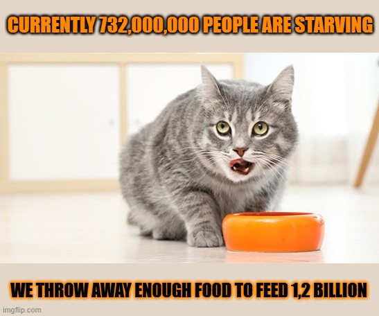 This #lolcat wonder why hoo-mens let eachother starve | CURRENTLY 732,000,000 PEOPLE ARE STARVING; WE THROW AWAY ENOUGH FOOD TO FEED 1,2 BILLION | image tagged in starvation,hunger,capitalism,food,lolcat | made w/ Imgflip meme maker
