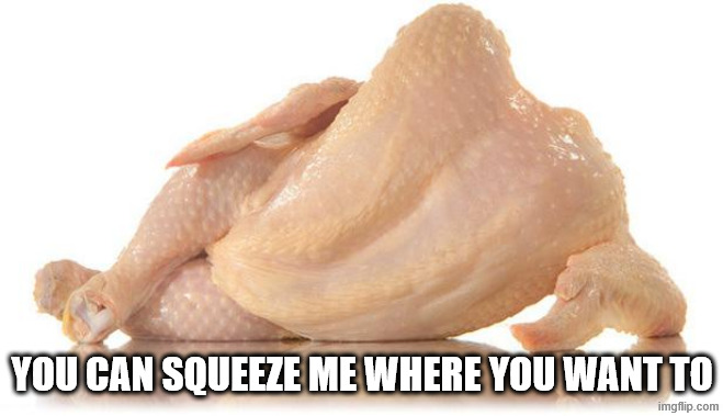 sexy chicken | YOU CAN SQUEEZE ME WHERE YOU WANT TO | image tagged in sexy chicken | made w/ Imgflip meme maker