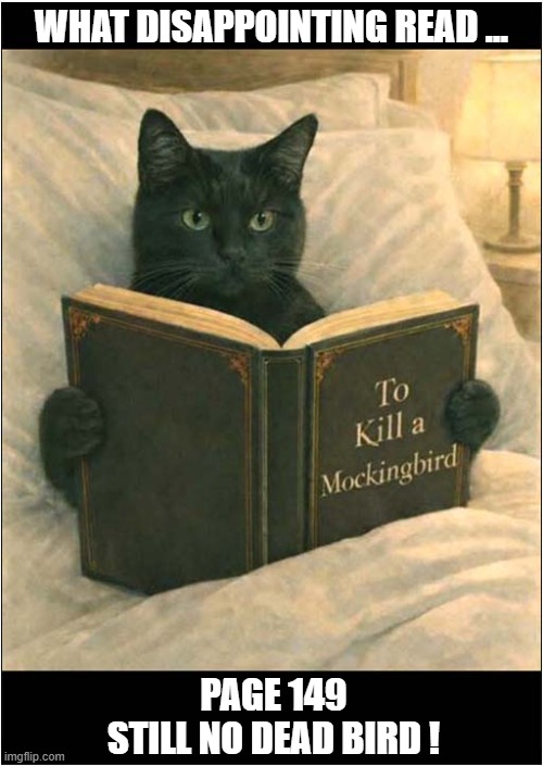Never Judge A Book By It's Title | WHAT DISAPPOINTING READ ... PAGE 149
STILL NO DEAD BIRD ! | image tagged in cats,disappointment,to kill a mockingbird | made w/ Imgflip meme maker