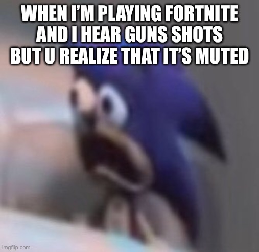 Press shift to run ahhh | WHEN I’M PLAYING FORTNITE AND I HEAR GUNS SHOTS BUT U REALIZE THAT IT’S MUTED | image tagged in traumatised sonic | made w/ Imgflip meme maker