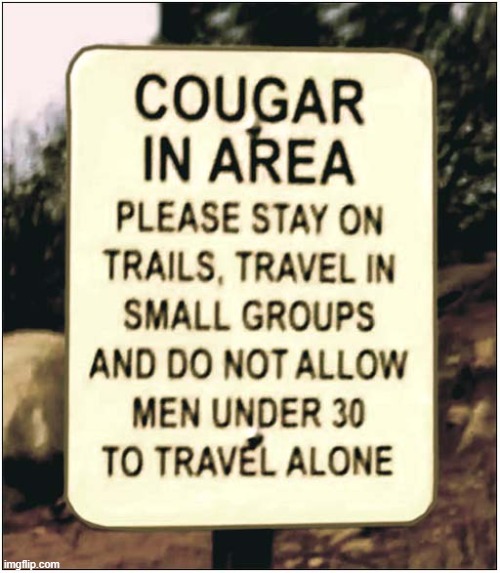 Is This A Warning Or An Invitation ? | image tagged in funny signs,cougar,warning,invitation | made w/ Imgflip meme maker