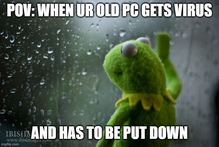 POV: WHEN UR OLD PC GETS VIRUS AND HAS TO BE PUT DOWN | image tagged in kermit window | made w/ Imgflip meme maker
