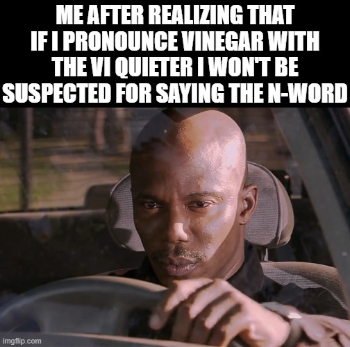 Now i have given you guys a way to say it safely | ME AFTER REALIZING THAT IF I PRONOUNCE VINEGAR WITH THE VI QUIETER I WON'T BE SUSPECTED FOR SAYING THE N-WORD | image tagged in doakes,n word,black,dark humor | made w/ Imgflip meme maker