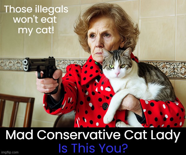 Crazy old conservative cat ladies were my inspiration for this meme! | Those illegals
won't eat 
my cat! Mad Conservative Cat Lady; Is This You? | image tagged in cat lady,crazy lady,conservative,grandma gun weeb killer,confused old lady | made w/ Imgflip meme maker