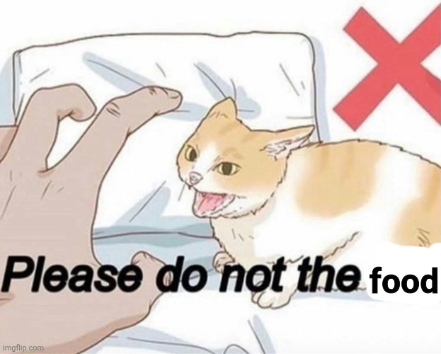 Please do not the cat | food | image tagged in please do not the cat | made w/ Imgflip meme maker