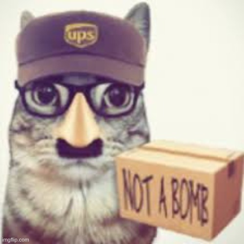 not a bomb | image tagged in not a bomb | made w/ Imgflip meme maker