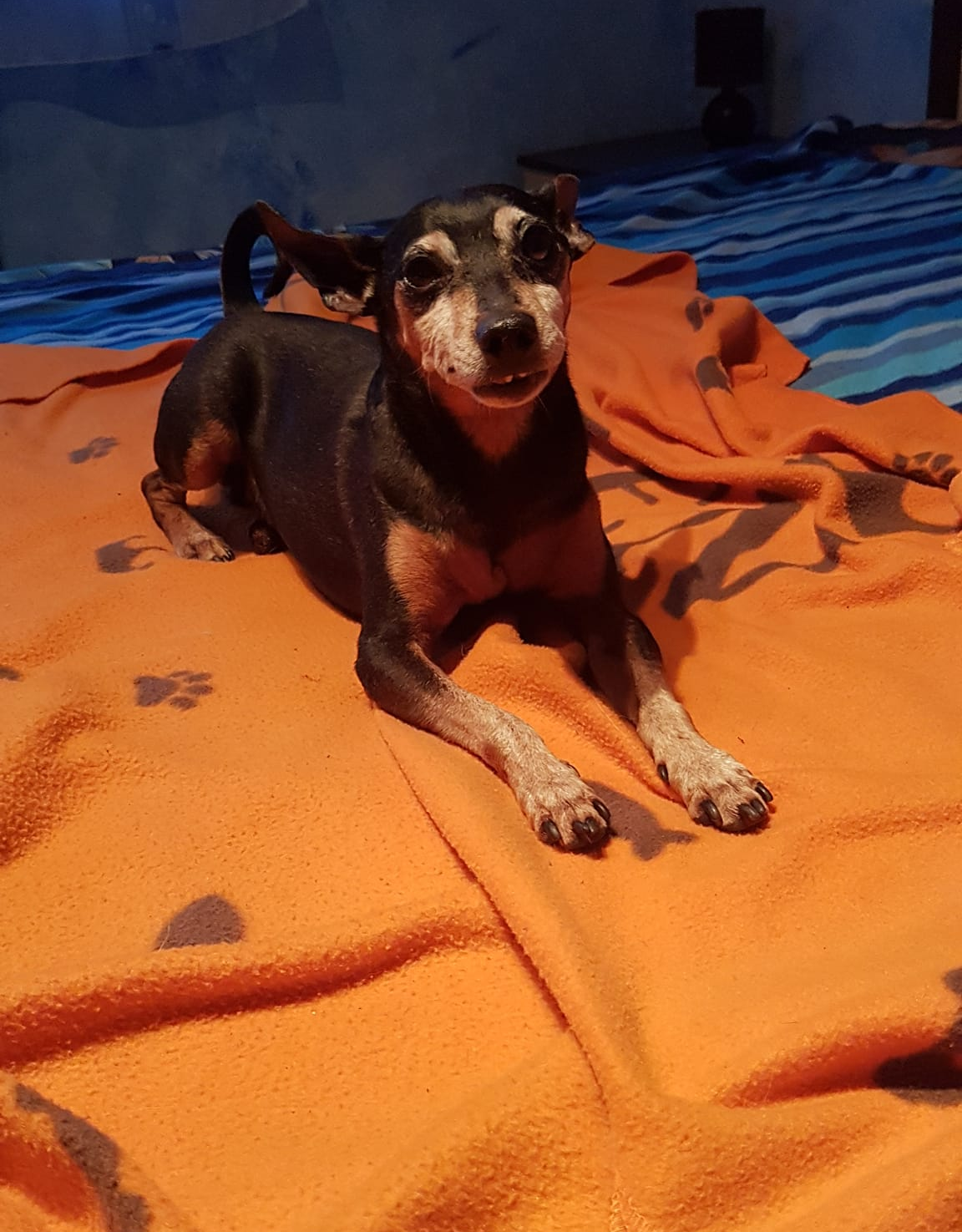 Blacky Blank Meme Template