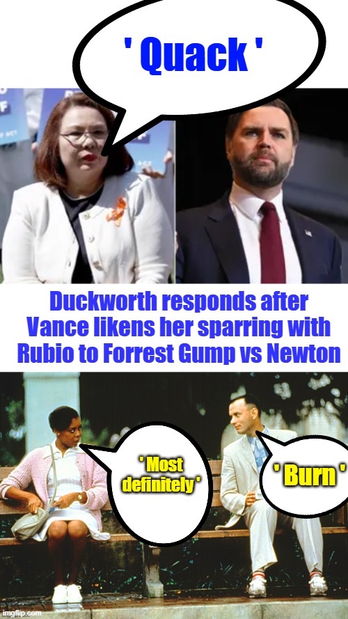 "That’s a U.S. Senator doing her job. This is a random troll tweeting at her," Illinois Gov. JB Pritzker wrote in a post on X. | ' Quack '; Duckworth responds after Vance likens her sparring with Rubio to Forrest Gump vs Newton; ' Most definitely '; ' Burn ' | made w/ Imgflip meme maker