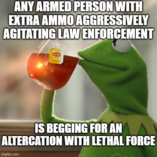 But That's None Of My Business Meme | ANY ARMED PERSON WITH EXTRA AMMO AGGRESSIVELY AGITATING LAW ENFORCEMENT IS BEGGING FOR AN ALTERCATION WITH LETHAL FORCE | image tagged in memes,but that's none of my business,kermit the frog | made w/ Imgflip meme maker